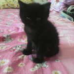 zaxarov.nikolaj.85@mail.ru