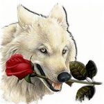 AnaToly62
