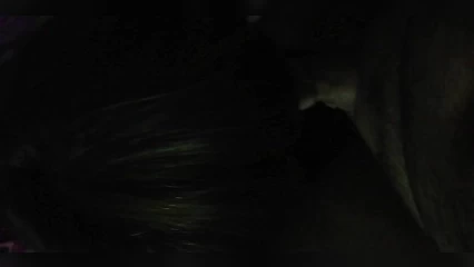 Знакомая пригласила на минет