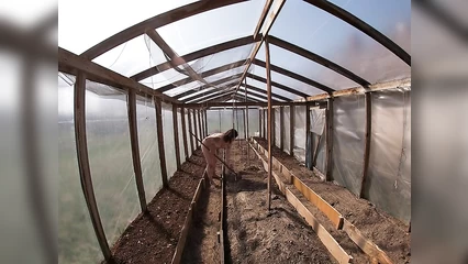 Деревенская толстуха работает в теплице