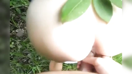 Милую незнакомку трахнул на природе