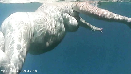 Испытание экшн-камеры