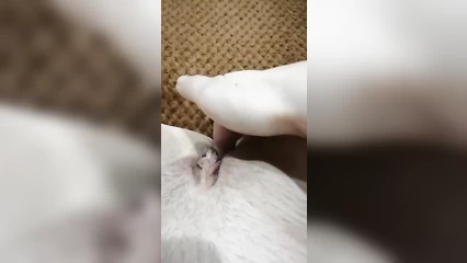 Сладкий пальчик