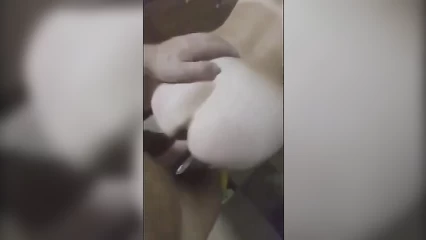 Как же хорошо, давно так меня не ебали